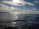 IMG_1290.JPG